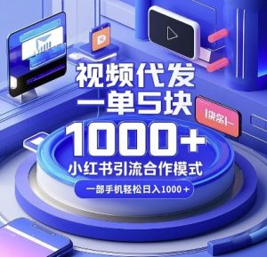 视频代发，一单5块，小红书引流合作模式，一部手机轻松日入多张-热点1站 - 热点知汇专注网赚项目资源知识聚汇