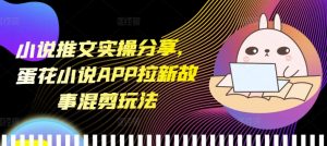 小说推文实操分享，蛋花小说APP拉新故事混剪玩法-热点1站 - 热点知汇专注网赚项目资源知识聚汇