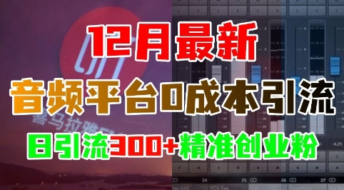 12月最新：音频平台0成本引流，日引流300+精准创业粉-热点1站 - 热点知汇专注网赚项目资源知识聚汇