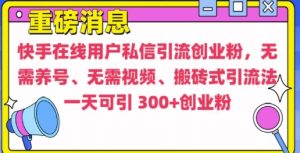 快手最新引流创业粉方法，无需养号、无需视频、搬砖式引流法-热点1站 - 热点知汇专注网赚项目资源知识聚汇