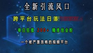 全新引流风口，跨平台玩法日入上k，单日狂揽200+精准创业粉，一个被严重忽略的视频平台-热点1站 - 热点知汇专注网赚项目资源知识聚汇