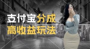 支付宝分成计划新玩法，利用交通事故视频，赚收益，轻松月入过W，操作简单-热点1站 - 热点知汇专注网赚项目资源知识聚汇